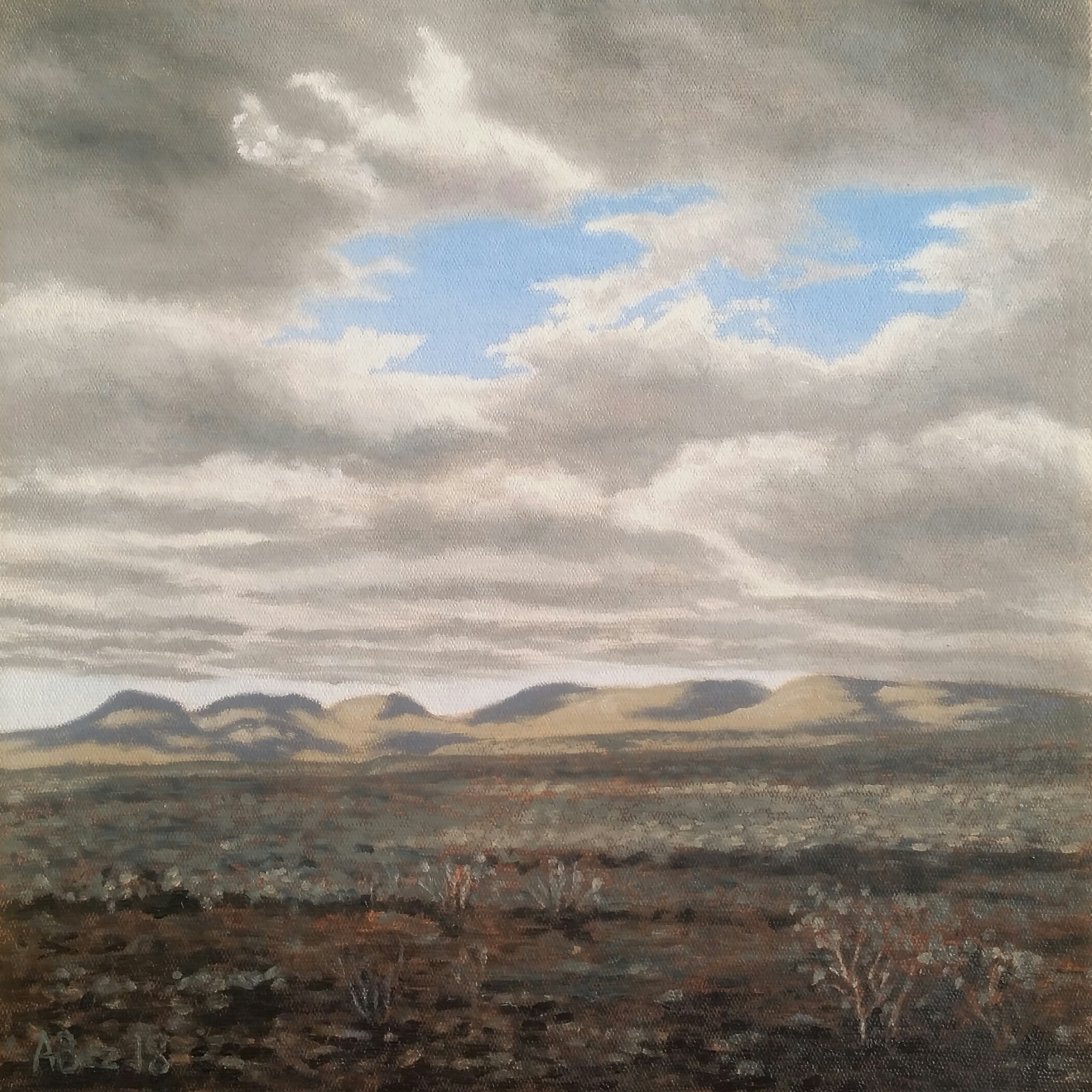 "Op die pad tussen Pearston en Graaff-Reinet", oil on canvas, 30x30cm.